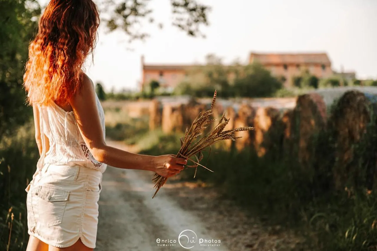 Agriturismo La Restera Del Sile 卡萨莱南西莱